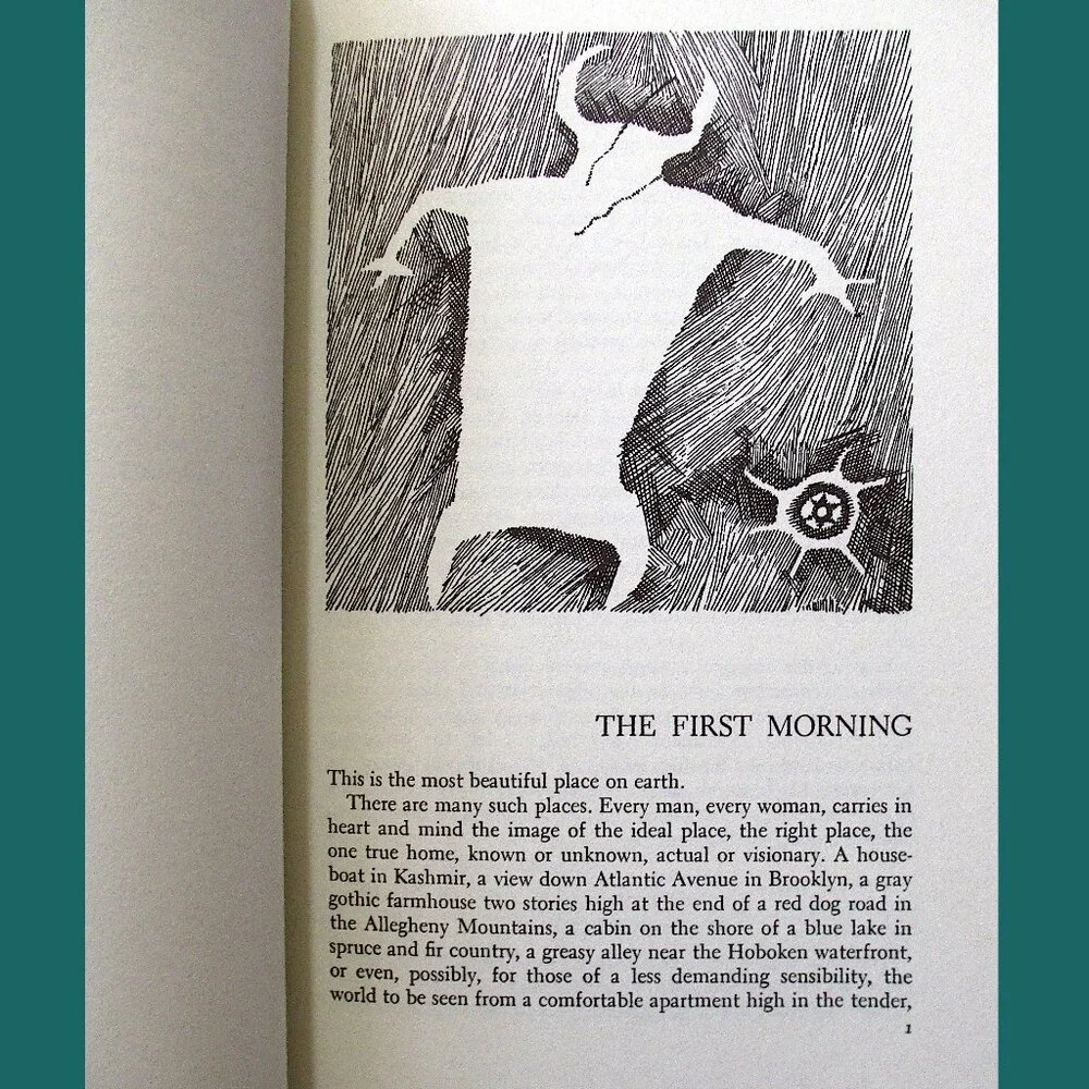 Book - Desert Solitaire: A Season in the Wilderness by Edward Abbey - Picture 4 of 9